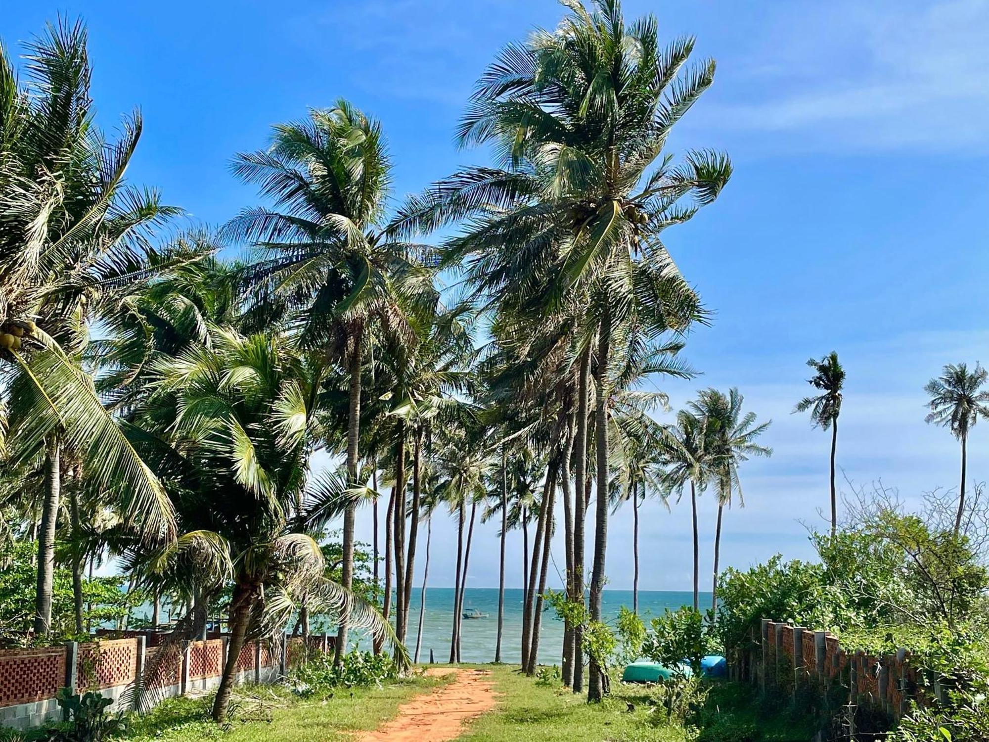 Moonbeam Homestay & Mini-Resort Mui Ne 판티엣 외부 사진