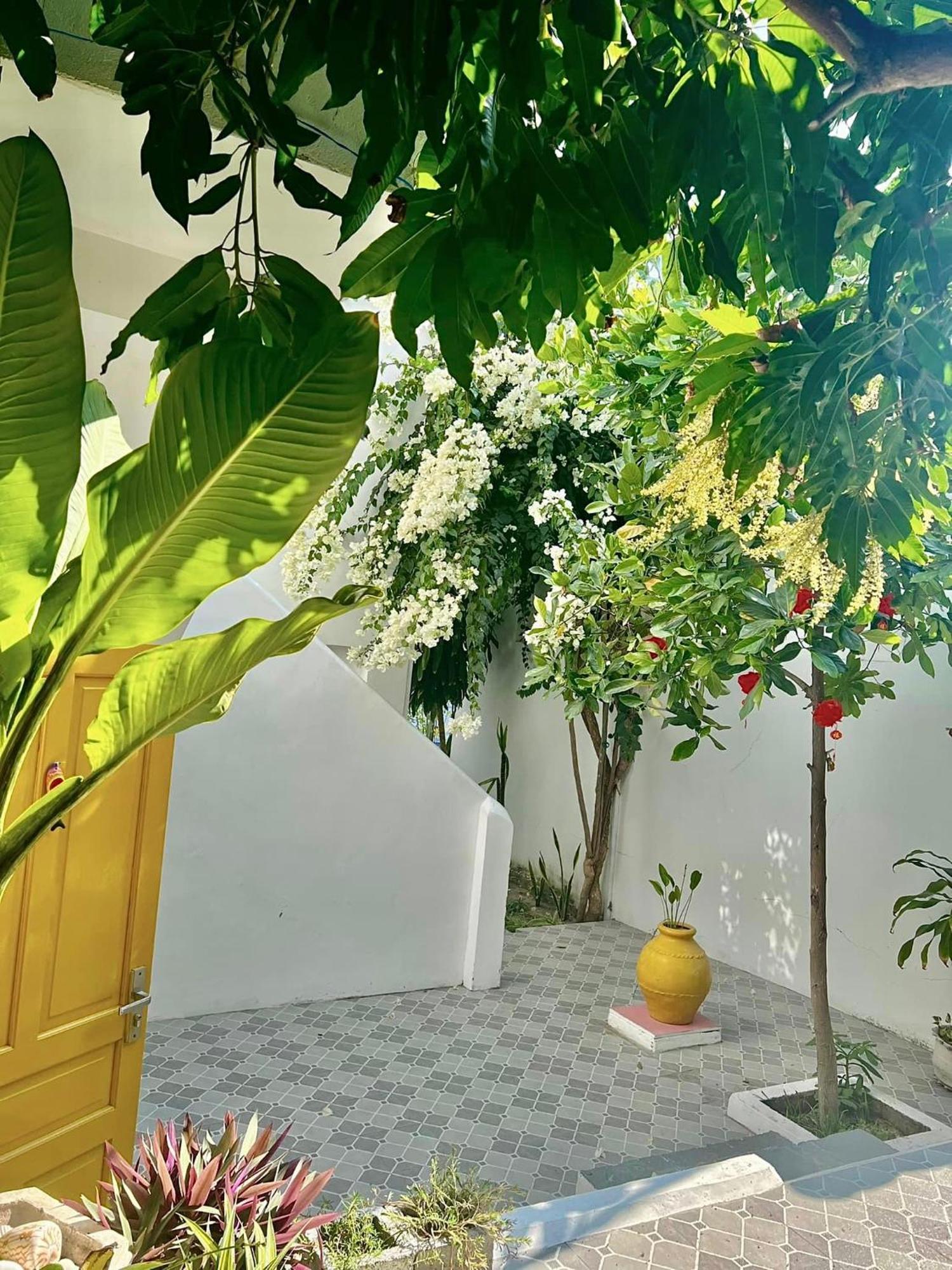 Moonbeam Homestay & Mini-Resort Mui Ne 판티엣 외부 사진