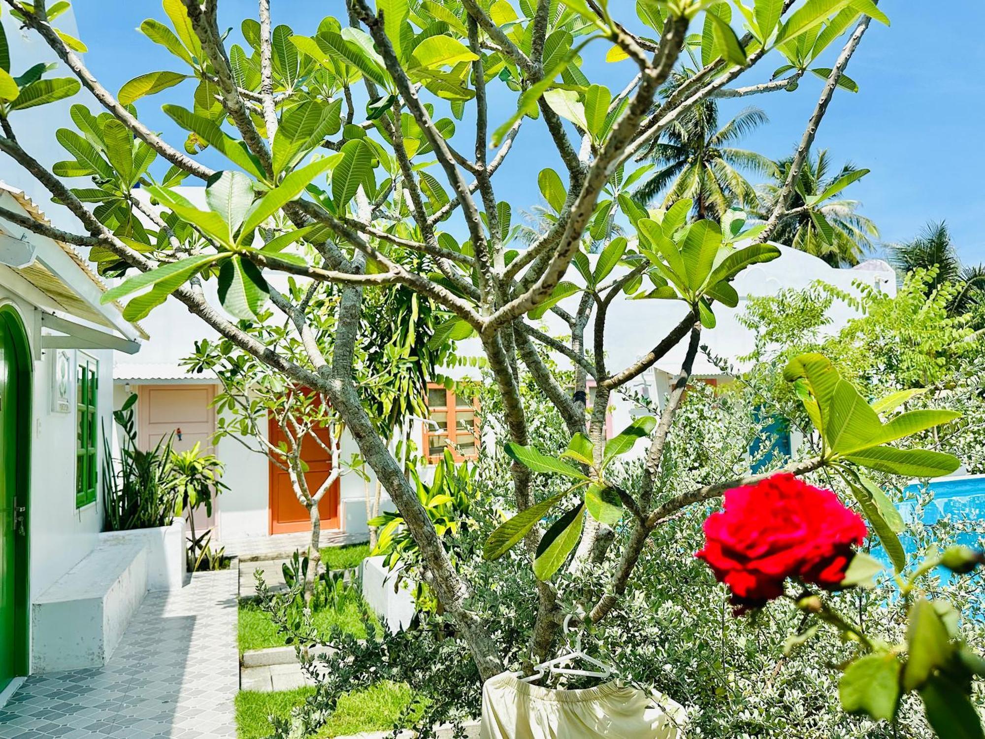 Moonbeam Homestay & Mini-Resort Mui Ne 판티엣 외부 사진